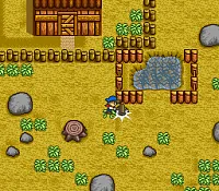 Simulador de Fazenda